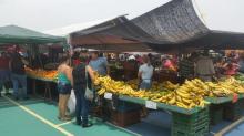 Alternative(:) Landwirtschaft - Costa Ricas Kleinbauern suchen sich Nischen