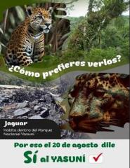Volksabstimmung zum Schutz des Yasuní-Nationalparks