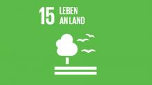 Hinhörer: SDG 15 Leben an Land: Wälder erhalten 