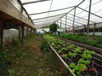 Uruguay: Mehr Gemüse aus Bioanbau?