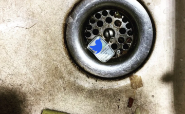 Mastodon, was ist das?