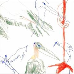 Vogel der Woche - eine Stork-Story zum 8. März