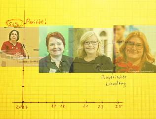 Frauen in den Parlamenten, Frust und Erfolgserlebnisse