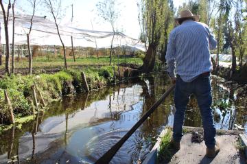 Kein Tropfen Wasser mehr!  Der Kampf um den Erhalt von Wasser in den mexikanischen Chinampas 