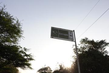 Enteignet, entwurzelt, vertrieben: Kampf gegen die Kohle