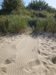 Südstrand von Eckernförde: Festivals im Naturschutzgebiet. Was ist da los?