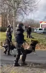 radiotipi Polizeihundeeinsatz bei den Protesten gegen den AfD-Parteitag in Riesa #gießen #giessen