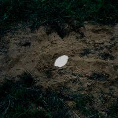 Monasunnes erstes Album, »Fields Become Sky«, Lara Agar und Louis d’Heudières